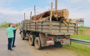 Незаконно зрубана деревина: прикарпатські правоохоронці затримали правопорушників
