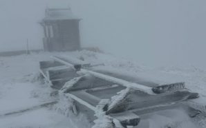 Сніг у травні: у Карпати повернулася зима