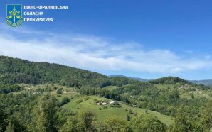 За вирубку лісу на понад 25 мільйонів у нацпарку «Гуцульщина»…