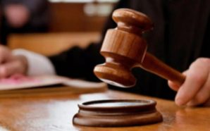 Жителя Закарпатської області судитимуть за незаконну порубку дерев у курортному…