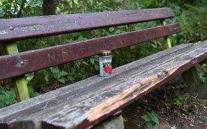 В Німеччині знайшли мертвими українку та її немовля, підозрюваний —…