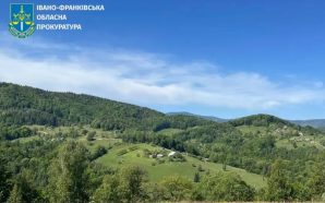 25 мільйонів збитків: лісничого судитимуть за незаконну вирубку дерев у…