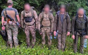 На Буковині службовий пес вивів прикордонників на слід порушників, одягнених…