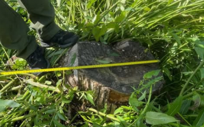 Єзупільська селищна рада повинна сплатити понад 720 тисяч гривень за…