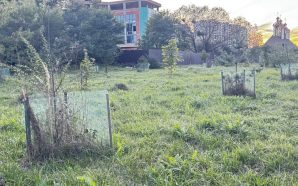 У Франківську хочуть прокласти дорогу через сквер біля озера —…