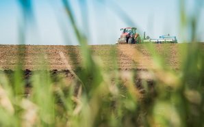 На Прикарпатті розпочали посів озимих зернових під урожай 2026 року