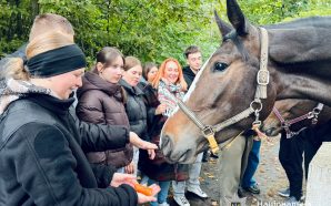 Як спілкування з кіньми допомагає знизити стрес: досвід ліцеїстів Прикарпаття