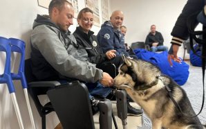 Чотирилапі терапевти: відпочинок та підтримка для поранених захисників