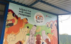 «Рудий Пес» — притулок, де кожен хвостик має шанс на…