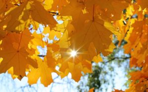 Кінець жовтня тішитиме теплом: прогноз погоди на п’ятницю