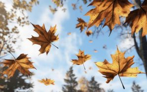  Погода на Івано-Франківщині третього листопада