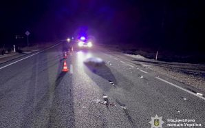 Збив насмерть і втік: поліція затримала водія на Прикарпатті