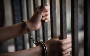 П’ять років тюрми: у Франківську покарали злодіїв, які місяцями обкрадали…