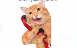 Телефонуй меру щоп’ятниці: у Франківську запускають нову ініціативу