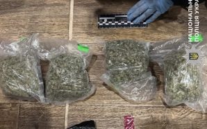 Посилка з психотропними грибами: у Франківську затримали 24-річного збувача наркотиків