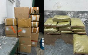 Прикарпатець намагався ввезти до України 614 кг наркотиків: його затримали&hellip;