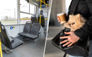 У «Електроавтотрансі» нагадали правила перевезення тварин у громадському транспорті
