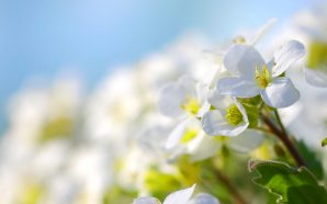 Погода на Івано-Франківщині 27 березня