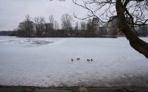 Міське озеро у Франківську стрімко міліє: вода відійшла на 6&hellip;