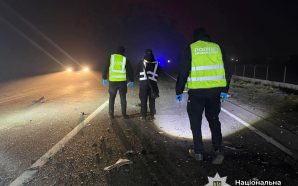 Водій, який вчинив смертельну ДТП в Драгомирчанах, був нетверезий