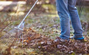 В Івано-Франківську оголосили загальноміську толоку перед Великоднем