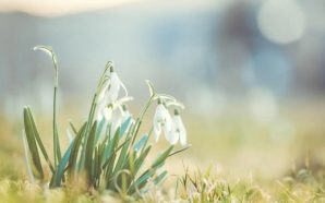 Прогноз погоди на 10 березня в Івано-Франківську: тепло вдень, мороз&hellip;