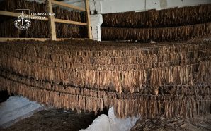 На Прикарпатті викрили підпільний цех із переробки тютюну. ФОТО