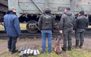 У вантажному потягу прикордонники знайшли 500 пачок безакцизних сигарет 