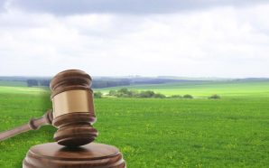 На Прикарпатті прокуратура вимагає повернути громаді земельну ділянку із 12&hellip;