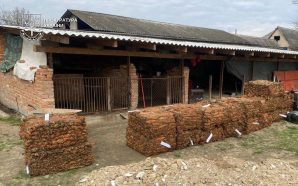 На Франківщині та Закарпатті викрили масштабний тютюновий бізнес